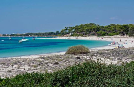 Aparthotel Isla de Cabrera - Foto 23