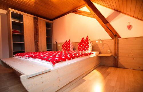 Appartements Gahler - Kurort Oberwiesenthal - Foto 22