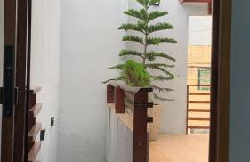 Casa villa Gravatá - Foto 43