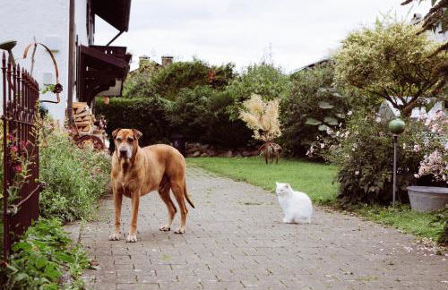 Bei den Hartmanns - Foto 25