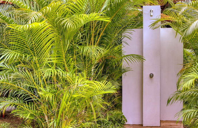 Terrazas del Caribe Hotel - Foto 70