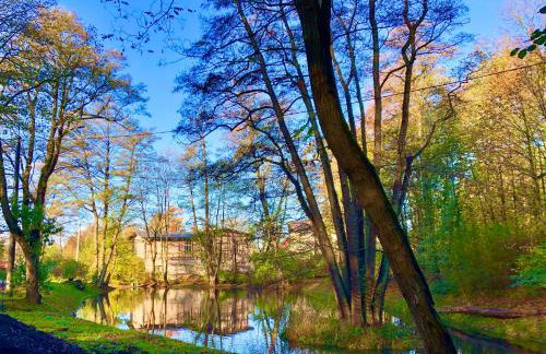 LAS SŁUPSKI PREMIUM LOVE APARTAMENT NR5 Wifi Netflix Smart TV50 full kitchen double bathtub up to 4 people full pleasure quality stay - Photo 32