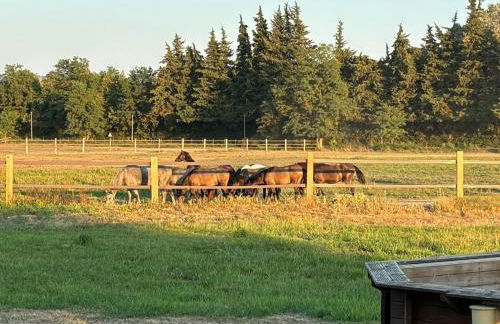 La Bastide des Launes près du Festival de Piano - Foto 6