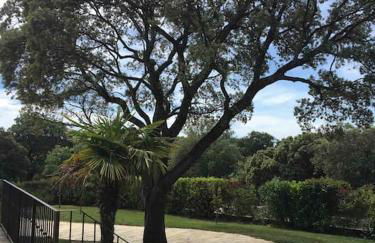 Belle villa avec piscine intérieure et piscine extérieure Gite Les Aiguiers - Foto 40