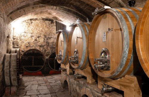 Fattoria di Cinciano - Photo 5