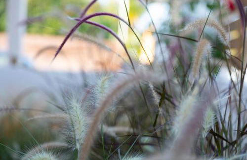 Peach Pine House - Escape Near City, Beach and Athens Airport - Foto 26