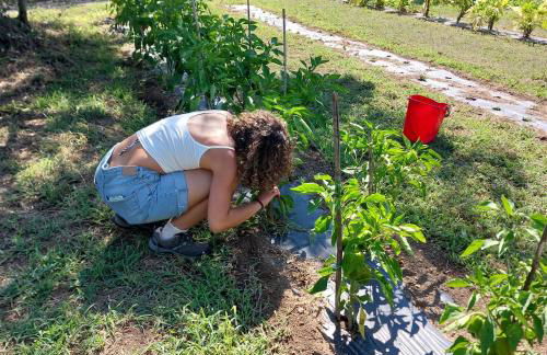 Orto delle Fate - Foto 62