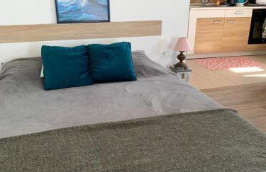 Penthouse Prvic Luka - Foto 6