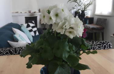 Azenhas do Mar Beach House - Foto 19