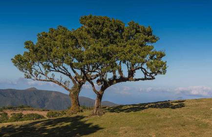 Ocean Breeze - Foto 34