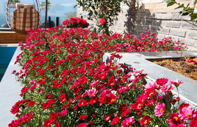 Dali Junbo Holiday Villa - Foto 9