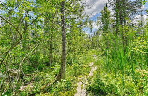 400-Acre Outdoor Enthusiasts Lodge in Mancelona! - Foto 6