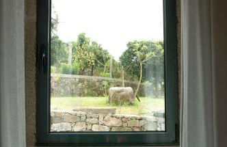 Eira dos Canastros - Foto 14