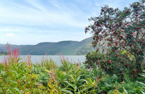 Miner's Rest - Foto 20