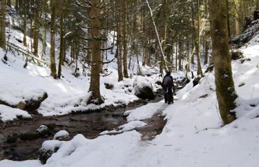 Chalet Paradis, panoramic view, garden & terrace - Foto 29