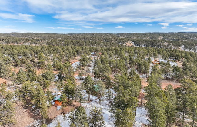 The Bear Den - Foto 70