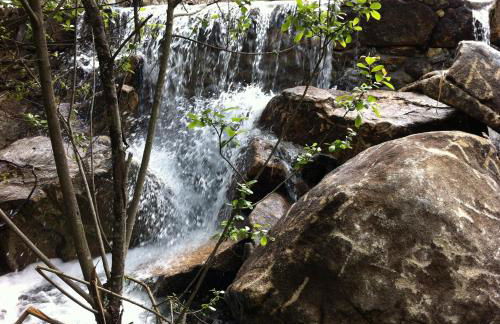 Quinta Porto dos Lobos - Foto 41