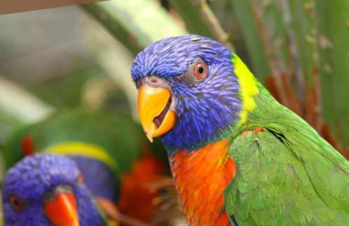 Le Ptit Brou - Bourg en Bresse - Foto 55