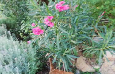 la fontana - Foto 27