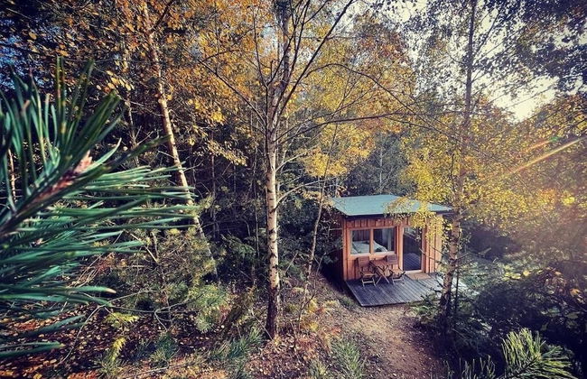 Boutique Glamping Divja DiVine - Foto 5