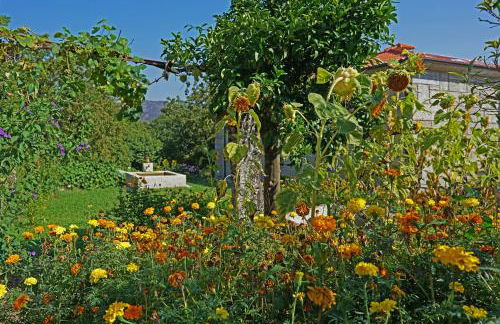 Casa do Vale - Foto 33