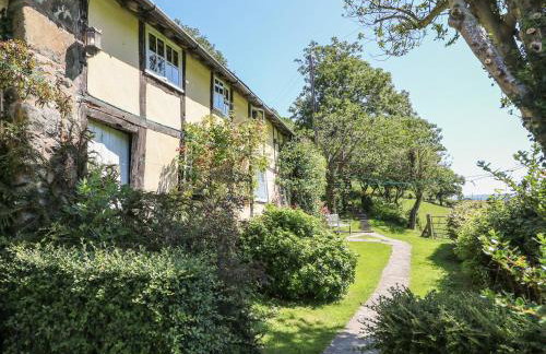 Lower Dolgenau- The Cottage - Foto 24