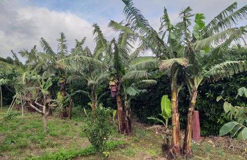 Quinta da Pavoa - Cottage House - Photo 30