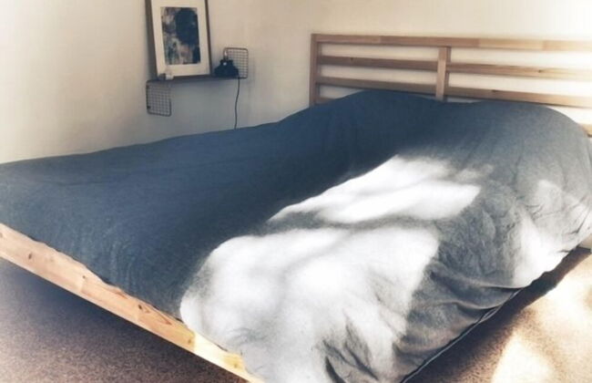 Appartements Manusurf House - Photo 1