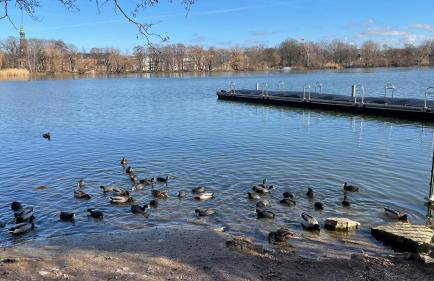 "Glück auf" Lichtdurchflutete schicke Ferienwohnung in Zwickau - Foto 20