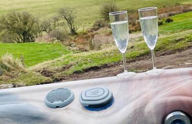 South Barlogan Farm - Photo 36