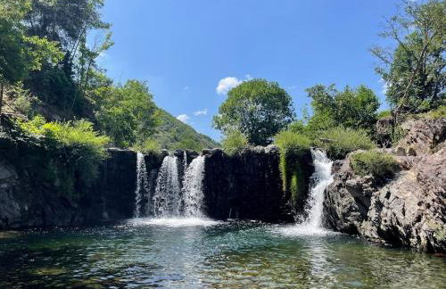 Les Cèdres - Foto 9