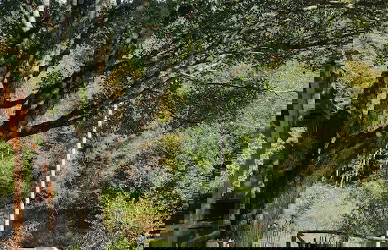 Alla Battuta - Foto 53