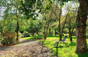 La Semondière - Photo 17