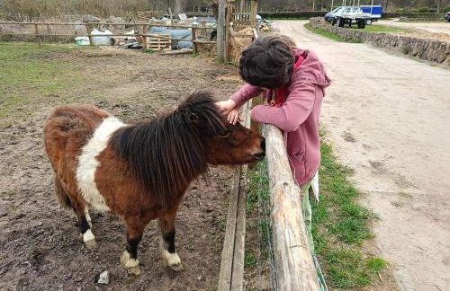 Domek JEZIORACZEK BIS - Foto 41