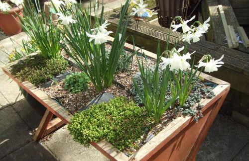 Queens Road Rental - Winchester Accommodation - Foto 46