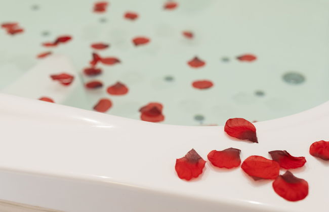 Deluxe Altemar - Foto 20