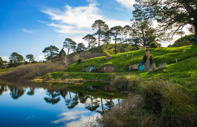 Escursione ad Hobbiton - Foto 2