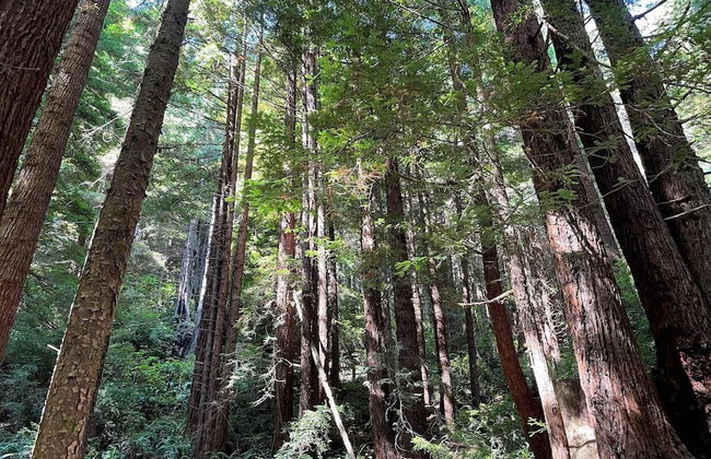 Oceanview Cabin 25 w Jacuzzi Plesant Views - Foto 20