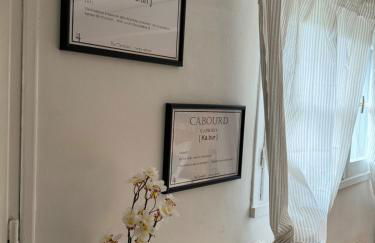 La maison Auguste - vue imprenable sur la Cité - Foto 9