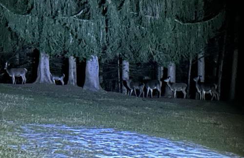 Sole e Neve -Sun & Snow - Foto 25