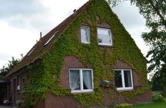 Inselhof Steengrafe - Strandblick - Foto 1