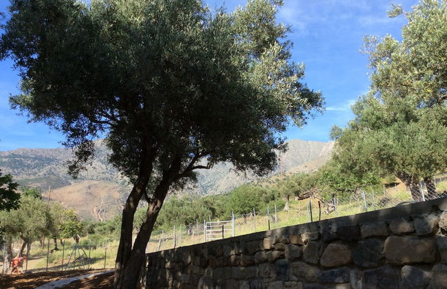 Samothraki Suites Kalisti - Foto 24