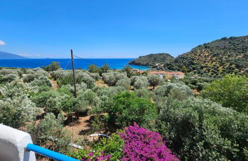 Galini Studios - Foto 31