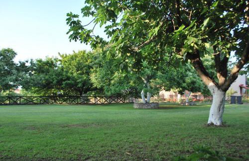 Apartments Stilos Ioannis - Foto 26