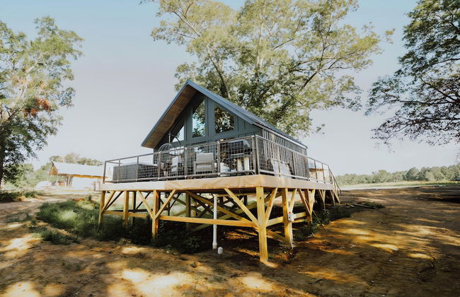 Starlight Haven Weiss Lake - Photo 6