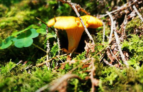 Miuti Residence - Foto 51