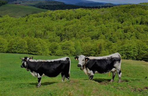 Gîte Le Hangar 67 à Saulxures-sur-Moselotte - Location atypique proche lac - Foto 26