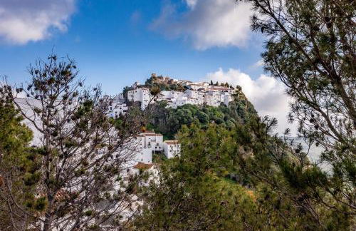 2060-Newly furnished 2 bedrooms apt with golf - Photo 19