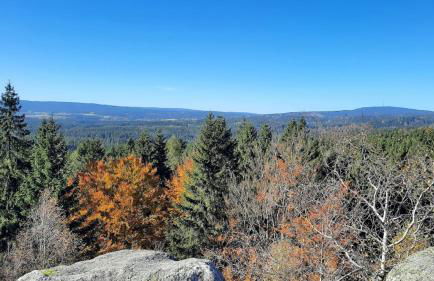 Haus Am Waldesrand - Foto 30