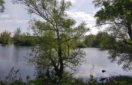 Ferienwohnung Lebensfreude Höxter im Weserbergland - Foto 41